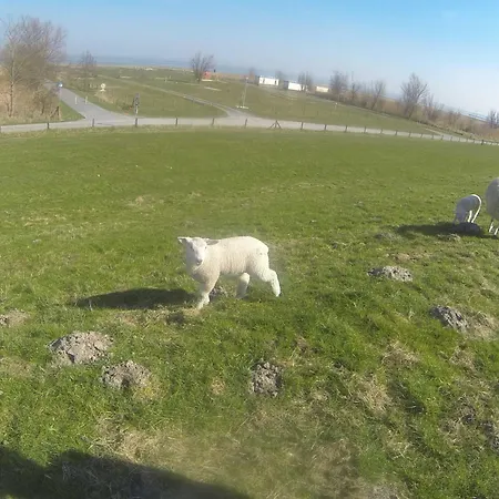 Apartmán Seifert's Windrose 3 In